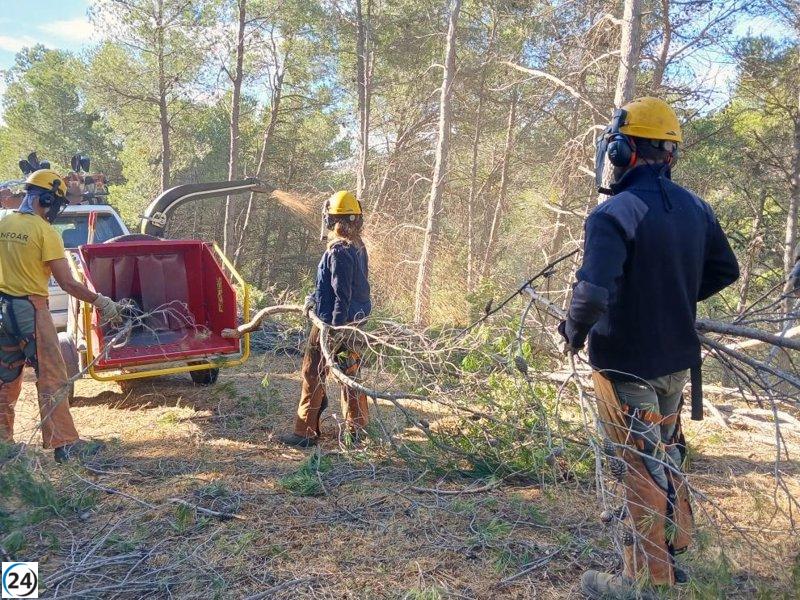 Aragón dedica más de 4.400 hectáreas anuales a la prevención de incendios forestales.