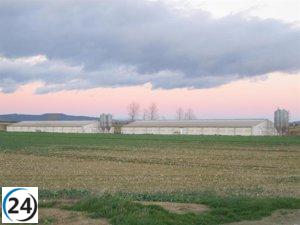 Gobierno de Aragón exige a Planas y Aagesen reunión urgente sobre la Peste Porcina Africana.