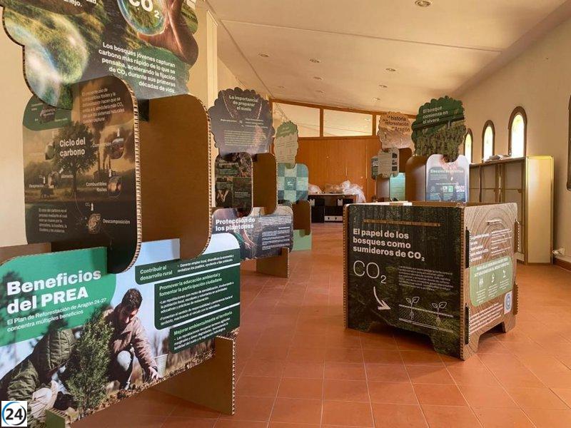 Arranca en Ateca la gira del Plan de Reforestación de Aragón por la región.