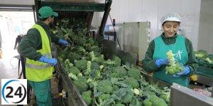 Aumento histórico en las solicitudes para el programa de apoyo a la agricultura del Departamento de Agricultura.