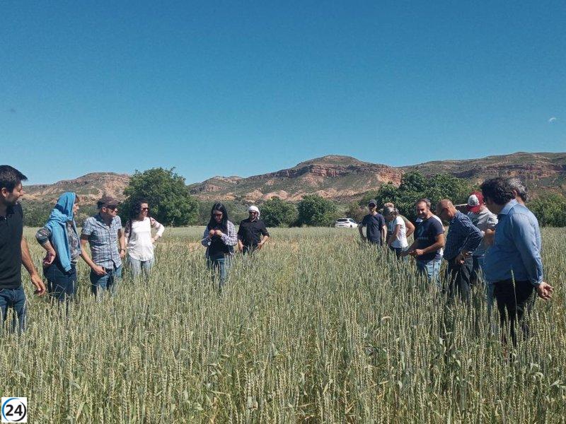 CITA Teruel revela conclusiones del proyecto FITE Red AgriFoodTe el 17 de diciembre.