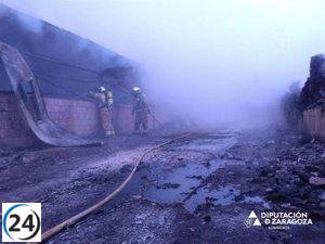 Incendio en Sancho Abarca consume 1.500 lechones y 25 cerdas reproductoras.