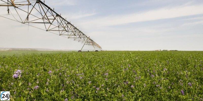 Inyección de 500.000 euros en ayudas para la modernización de granjas en Teruel.