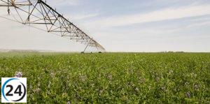 Inyección de 500.000 euros en ayudas para la modernización de granjas en Teruel.