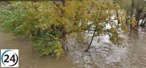 La CHE alerta sobre crecidas repentinas en ríos menores y barrancos en la zona este del Ebro.