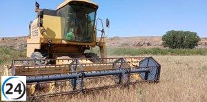 Se destinarán 94,3 millones de euros en ayudas directas por superficie de la PAC 2025.