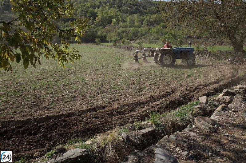 Agricultura lanza ayudas para seguros agrarios 2026.