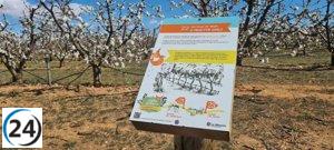 Descubre la agricultura tradicional en La Almunia con la ruta 
