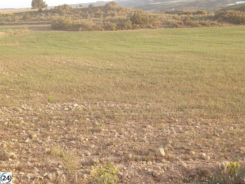Sequía provoca situación