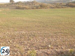 Sequía provoca situación 