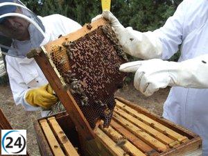 UAGA solicita ayuda directa de 10 euros por colmena a apicultores para rescatar su actividad en Aragón.