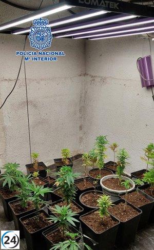 Dos individuos arrestados por tráfico de marihuana en Zaragoza, en el barrio de Oliver.
