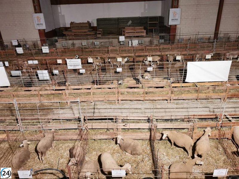 Ayuntamientos pueden pedir subvención para gastos de ferias a la DPT.