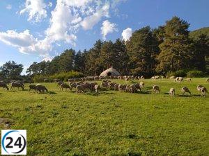 Diputación de Teruel abre plazo de ayudas para razas y productos autóctonos.