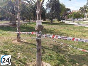 Redefinición: Instituto Municipal de Salud Pública toma medidas preventivas en parques y zonas de perros contra la...