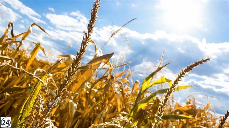 El Gobierno de Aragón ofrecerá préstamos sin costo financiero para agricultores afectados por la sequía.
