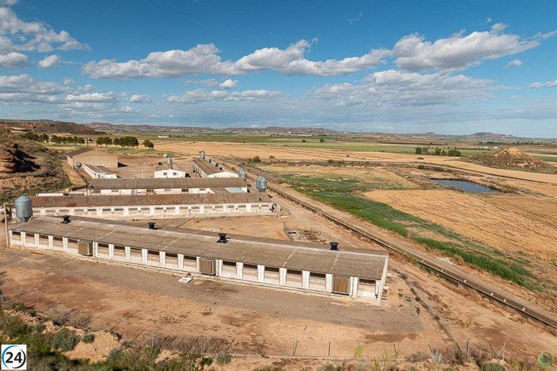 El CITA coordina proyecto LIFE CLINMED-FARM en Foro Mundial de Economía Circular.