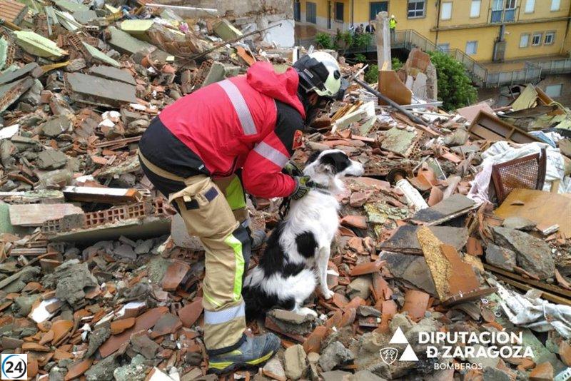 La unidad canina de la DPZ confirma ausencia de víctimas en derrumbe en Teruel.