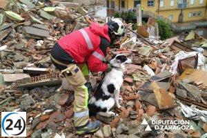 La unidad canina de la DPZ confirma ausencia de víctimas en derrumbe en Teruel.
