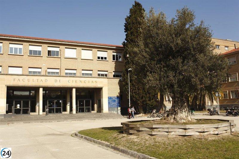 Se abren las solicitudes para becas de movilidad para estudiantes aragoneses con una cantidad de hasta 1350 euros.