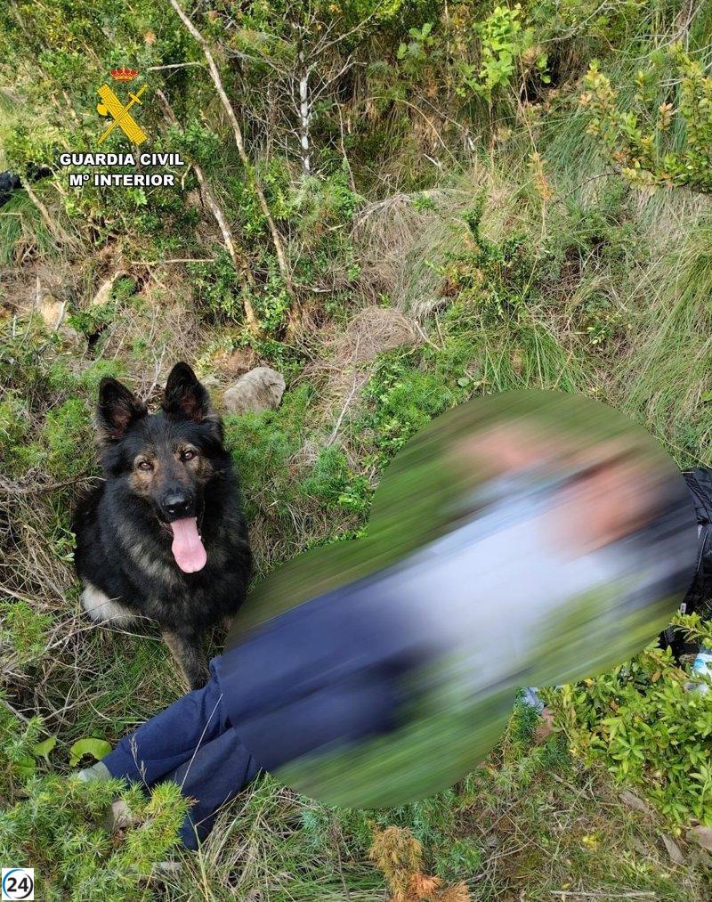 Anciano de 81 años desaparecido en Santa Cilia es encontrado ileso