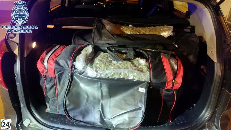 La Policía Nacional incauta 25 kilos de marihuana en Jaca.
