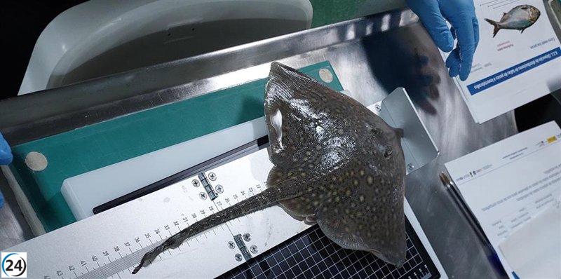 CIHEAM Zaragoza y la Secretaría General de Pesca promueven la capacitación en pesca a bordo del buque