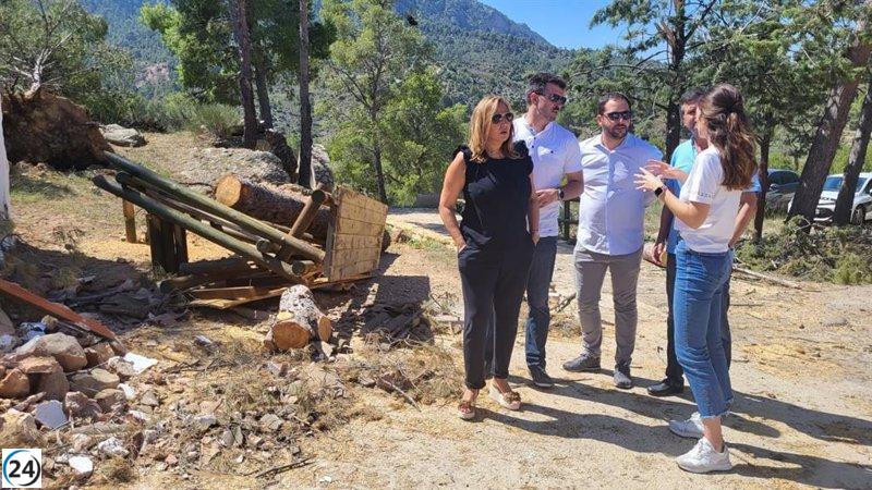 Mayte Pérez solicita asistencia gubernamental tras tormentas en Aragón.