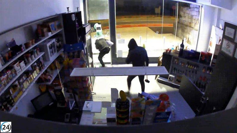 Desmantelado grupo de aluniceros activo en Zaragoza y otras provincias de España.