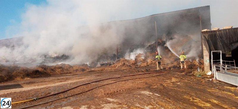 Bomberos de DPT combaten incendio en explotación agrícola en La Ginebrosa