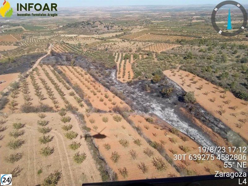 Éxito en la extinción del incendio forestal en Almonacid de la Sierra, el cual arrasó 2,4 hectáreas.
