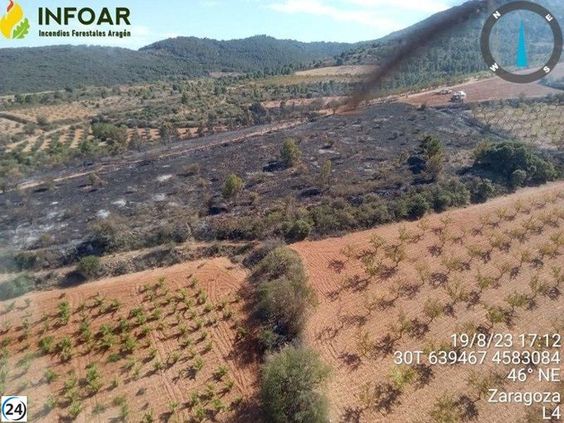 Controlado el fuego en Almonacid de la Sierra tras quemar 2,5 hectáreas