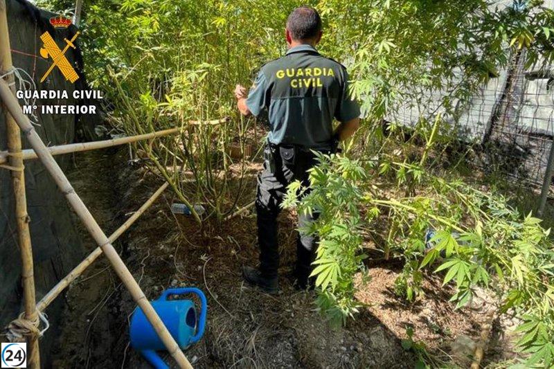 La Guardia Civil aprehende 20 kilos de cannabis y arresta a dos individuos en Villamayor (Zaragoza).