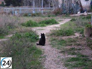 El Gobierno de Zaragoza destina 30.000 euros en ayudas para la protección animal.