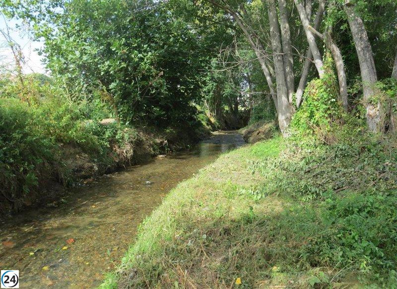 Protozoo de la gastroenteritis encontrado en el río Queiles en Soria