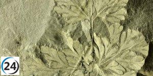 Fundación Dinópolis presenta nuevas investigaciones de paleontología a expertos internacionales