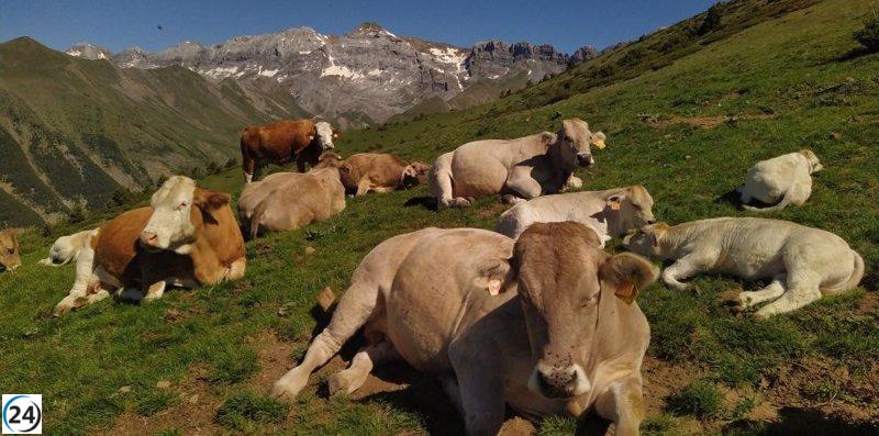 El Gobierno invierte más de 70.000 euros en programas de sanidad animal en Aragón