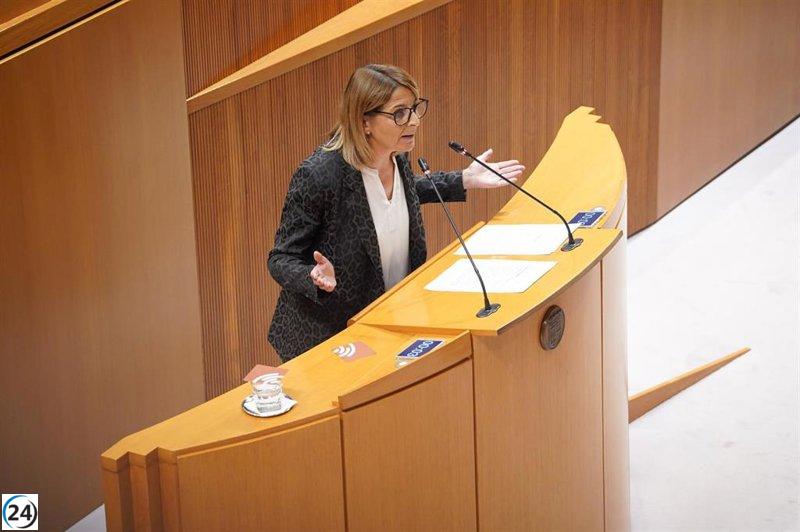 Cortes exigen al Gobierno de Aragón suscribir un protocolo renovado con CERMI
