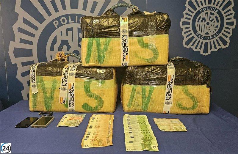 Detenido hombre con 118 kilos de polen de hachís cerca de la frontera con Francia, enviado a prisión