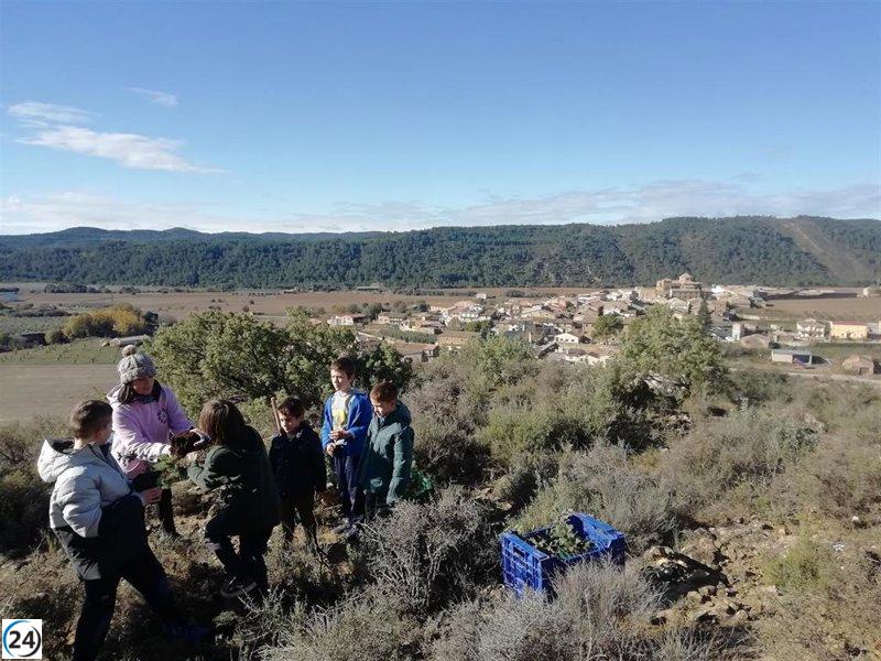 Veinte voluntarios impulsan una plantación de más de mil bellotas en Biscarrués (Huesca)