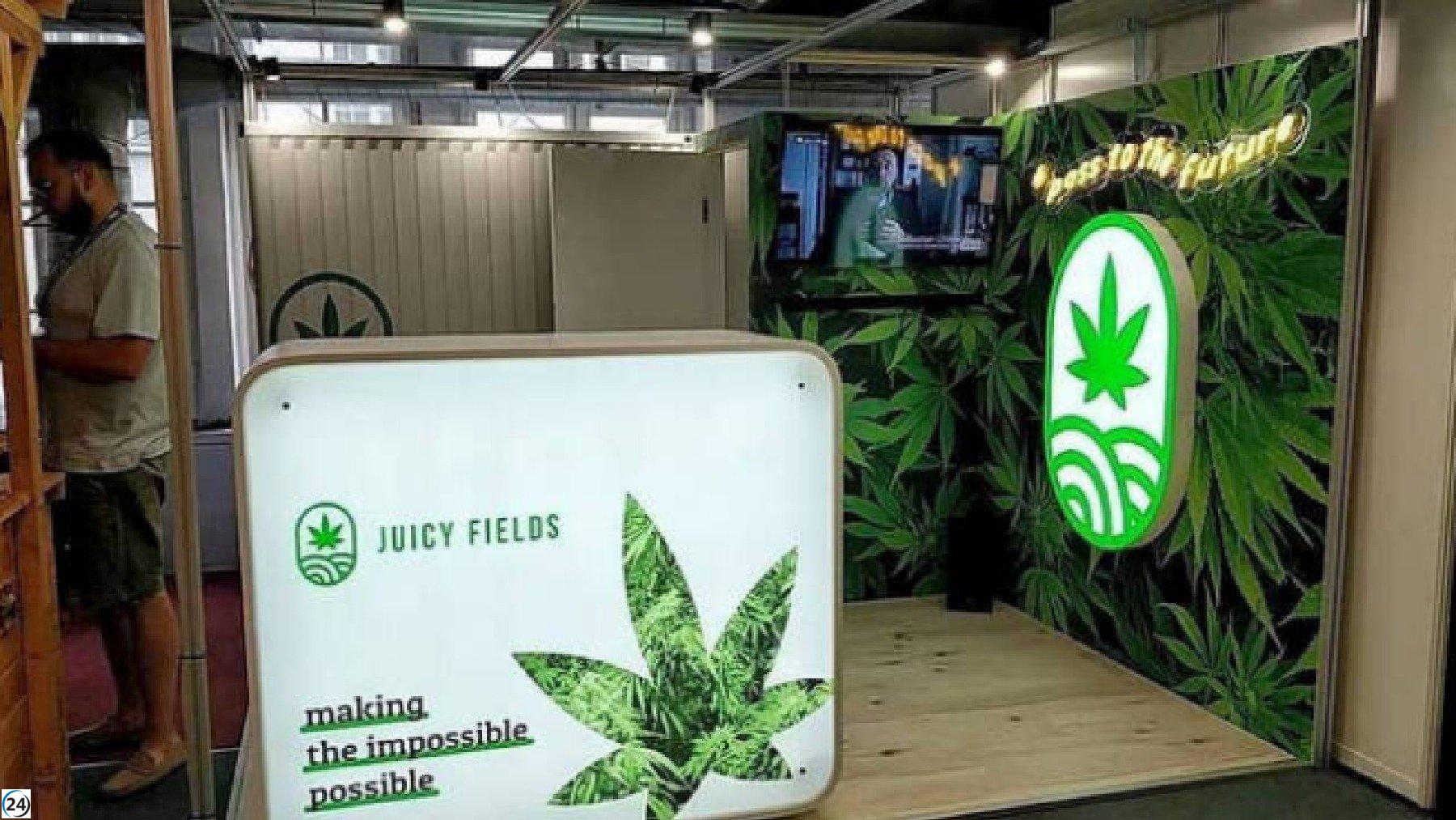 1.700 afectados en la estafa de inversión en cannabis en la Audiencia Nacional.