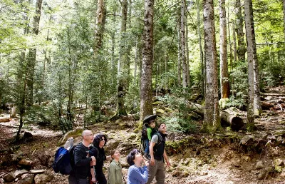 Actividades para disfrutar en familia en Aragón