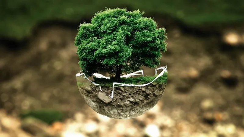 Las acciones del gobierno de Aragón para proteger el medio ambiente