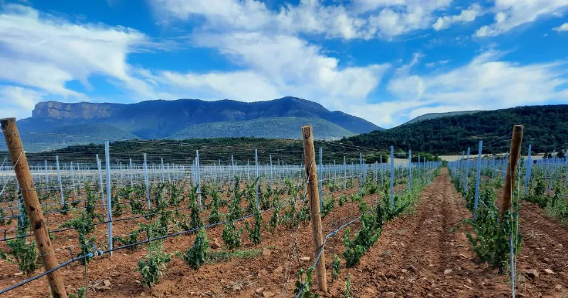 El sector agroalimentario de Aragón se consolida en el exterior